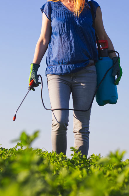 Spraying weed killer Roundup in field