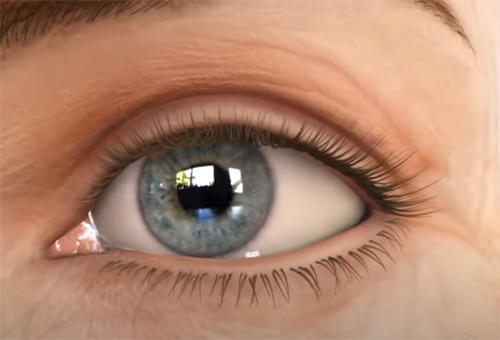Close up of a female eye.