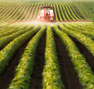 Farm machine spraying paraquat.