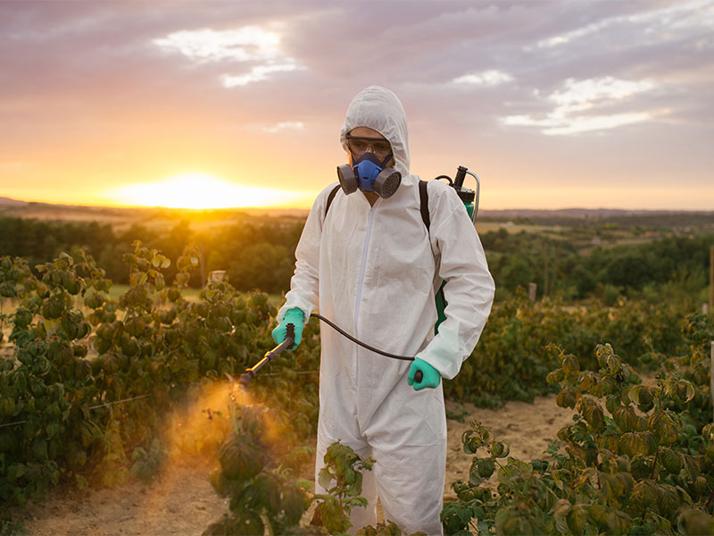 Man spraying herbicide.