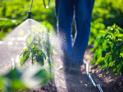 Farmer spraying the pesticide Roundup